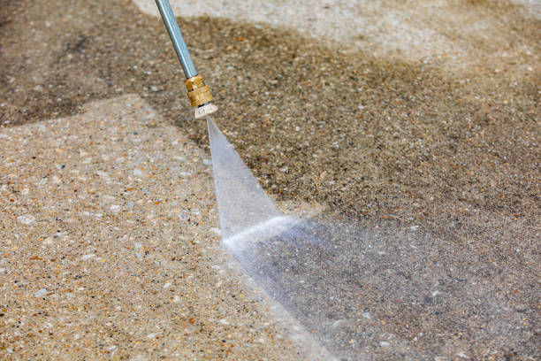 Animal Enclosure Cleaning in Norman, OK